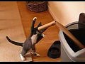 ���������� ����������������� ������