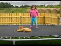 ��� � ������� �� ������