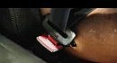 Even Dummies Wear Seatbelts