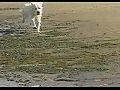 �������� ��� ������, ��� ������� �� ����������� ��������