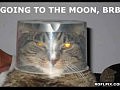funny picture COMPILATION