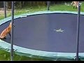 ���� �� ������