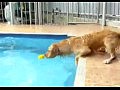 ����� ������� ����� � ��������