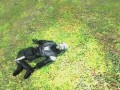 Gmod ������ ���