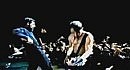 system of a down toxicity