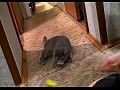 ��� ������� ������� ������ � ����� ��������...