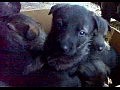 �����  ���-25���� mpg