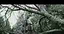 placebo - in the cold light of morning