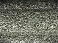 ��������������� � ����� �������� ����� �����