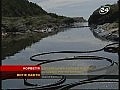 ������ ����� ����� ������� ��������