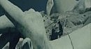 Dead By Sunrise - Crawl Back In