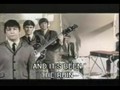 Animals - The House Of The Rising Sun