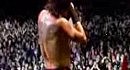 Red Hot Chili Peppers - Throw Away Your Television (Live at Slane Castle)