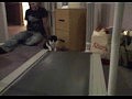 ���� � ������� �������