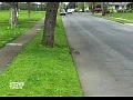 �������� ������ � ��������������