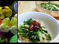 bibimbap(no)