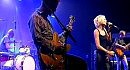 The Cardigans - Your New Cuckoo (Live)