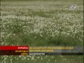�� ���������� ������ ��������