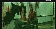 Sepultura-Convicted_In_Life