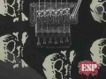 ESP - Michael Wilton - Queensr