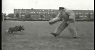 ����� 1936 ���
