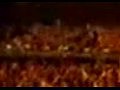 ������� � Gogol Bordello ������ �� �����