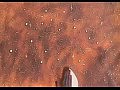 �������� �������� �� ���-������ Sand Storm