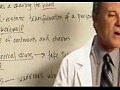 �������� ����� ��������� 1 / Teen Wolf - Search for a cure 1