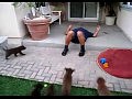 ������ ������ �������� �������� ������