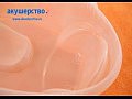 CAM Bollicina mov