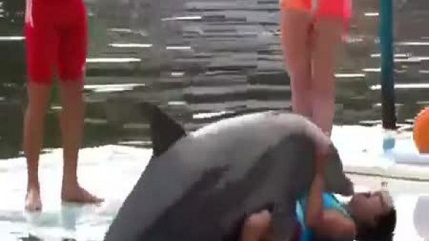 Дельфин занимается сексом с девушкой.