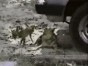 ������