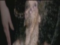 Sylver-Skin