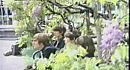 The Beatles - Paperback Writer