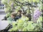 The Beatles - Paperback Writer