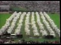 Celine Dion - Une Colombe