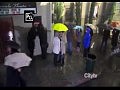 ��� � �������� ���� ���� / How I Met Your Mother 7 ����� 17 ����� (�����-������)