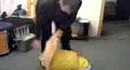 YouTube - ����� �������� ����     3gp
