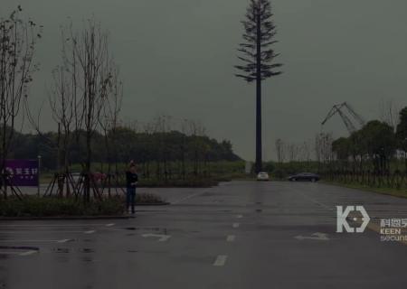 589050.jpg