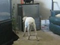 ����� ������