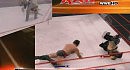 WWE (��� ������)