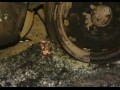 � ������ ����� ������, ���� ��������
