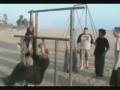 Best of David Belle
