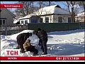 ����������� ��������� �������������� �������� ��������