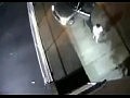 ������� � �������� �������