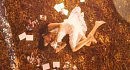 ARASH - Broken Angel (Official Video)