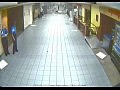 ������� � ���������
