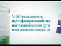 Nu Skin ageLOC ������� ����������� - �������