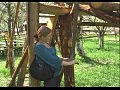 Музеї Колочави