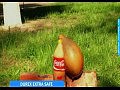 ���������� ������ - ���� ������